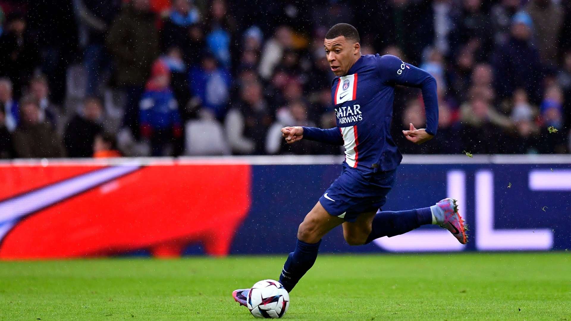 员纷纷萌发 员纷纷萌发